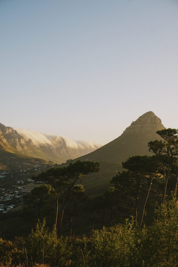 Lions Head